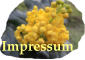 Impressum