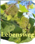 Lebensweg