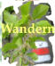 Wandern