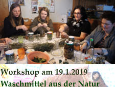 Workshop am 19.1.2019 Waschmittel aus der Natur