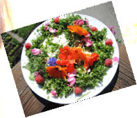 Wildkraeuterdelikatessen