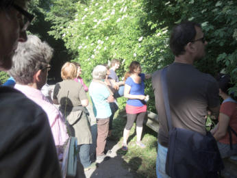 Kräuterwanderung am 10. Juni 2016 am Kronabethof