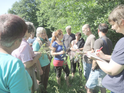 Kräuterwanderung am 10. Juni 2016 am Kronabethof