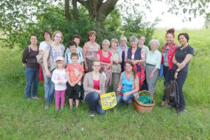 Kräuterwanderung am 11. Juni 2016 in Rohrbach / Gölsen