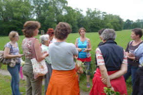 Kräuterwanderung am 11. Juni 2016 in Rohrbach / Gölsen
