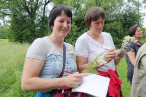 Kräuterwanderung am 11. Juni 2016 in Rohrbach / Gölsen